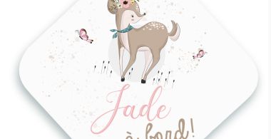 Accessoire de voiture