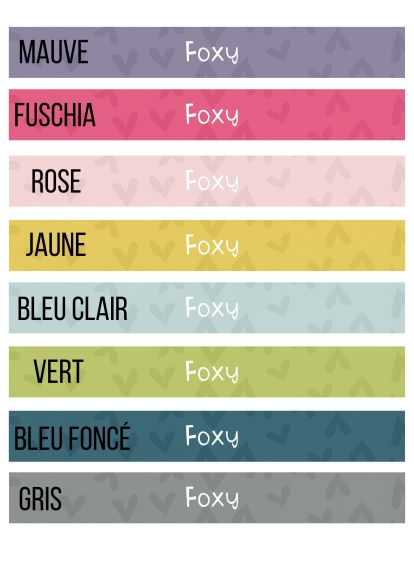 Collier pour chien personnalisé - Colors