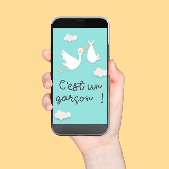 Annoncez le sexe de bébé! (Fichier numérique pour smartphone)