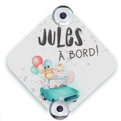 Plaque voiture personnalisée Bébé à bord - Animaux